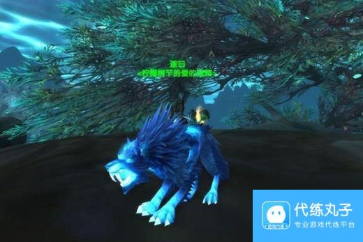 刀疤刷新时间,《魔兽世界6.0》猎人宠物图文百科及坐标指南
