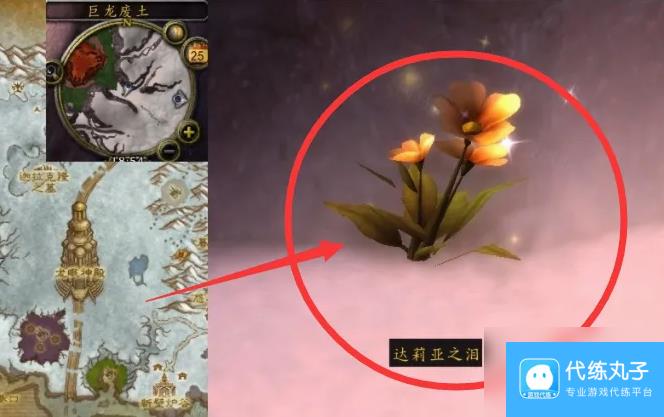 魔兽世界达莉亚之泪在哪里 魔兽世界达莉亚之泪位置一览