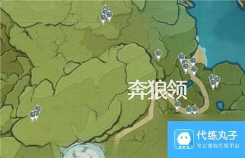 原神小灯草多长时间刷新 小灯草刷新时间规律