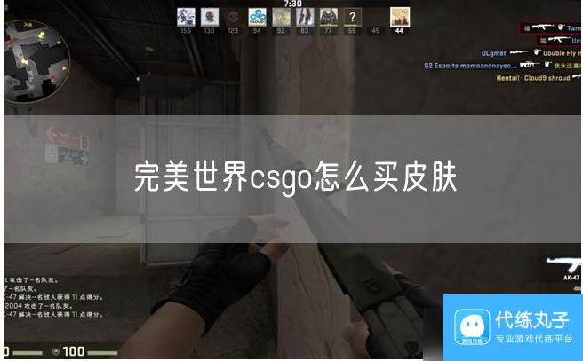 完美世界电竞csgo怎么买皮肤 完美世界csgo怎么买皮肤