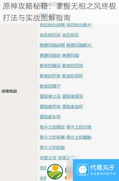 原神攻略秘籍 掌握无相之风终极打法与实战图解指南