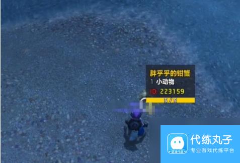 魔兽世界蓝玉蟹宠物怎么获得 想要的来看方法