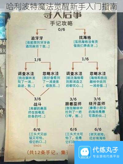 哈利波特魔法觉醒新手入门指南