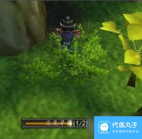 魔兽世界wow黄金莲要怎么获得 魔兽世界wow黄金莲获得方法介绍