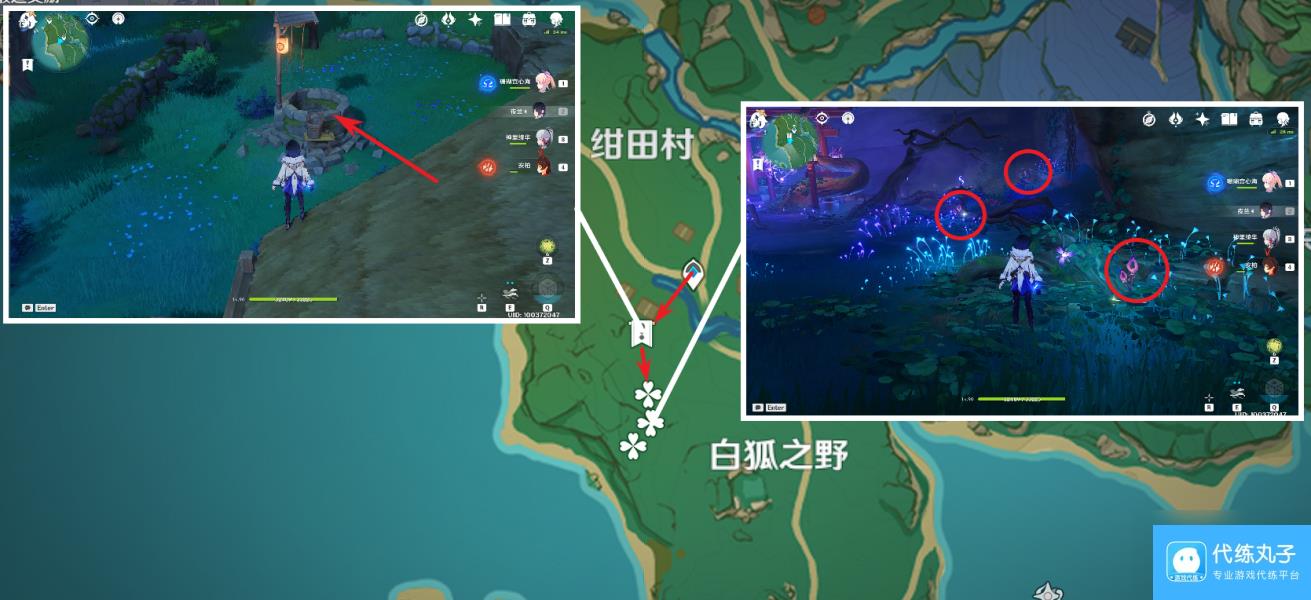 《原神》鸣草收集方法详细介绍