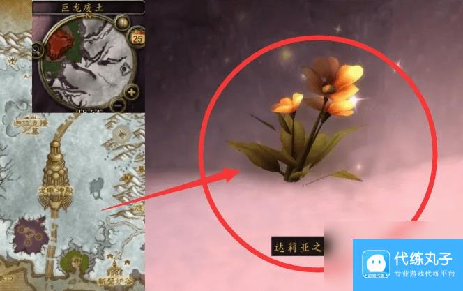 魔兽世界达莉亚之泪在什么位置 达莉亚之泪所在地点一览