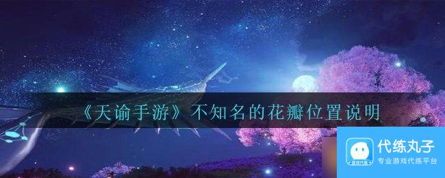 《天谕手游》不知名的花瓣在哪里说明