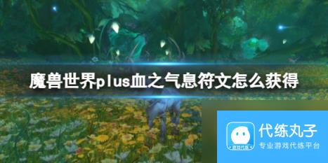 魔兽世界plus血之气息符文获取方法