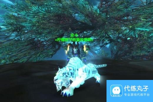 刀疤刷新时间,《魔兽世界6.0》猎人宠物图文百科及坐标指南