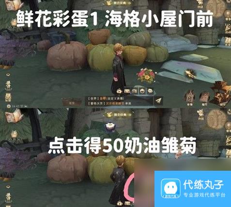 《哈利波特魔法觉醒》鲜花彩蛋触发攻略