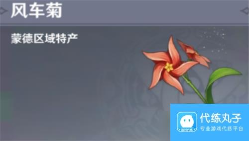 《原神》风车菊地图分布一览