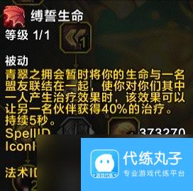 魔兽世界11.0奶龙PVE输出手法