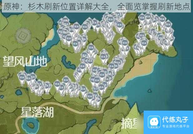 原神 杉木刷新在哪里详解大全，全面览掌握刷新地点