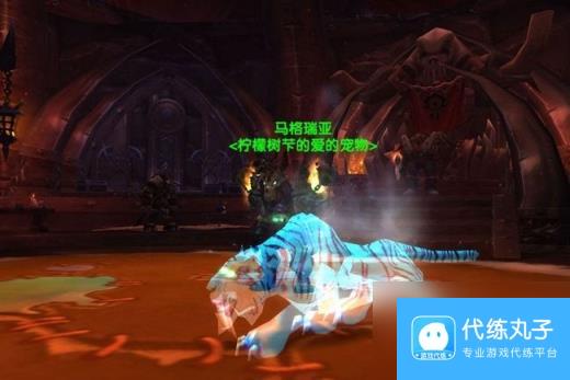 刀疤刷新时间,《魔兽世界6.0》猎人宠物图文百科及坐标指南