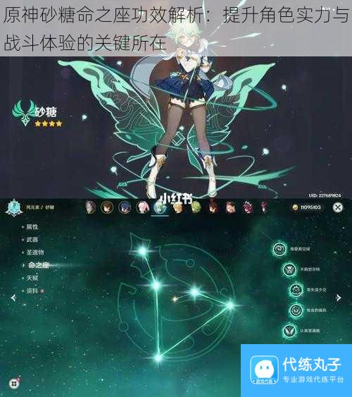 原神砂糖命之座功效解析 提升角色实力与战斗体验的关键所在