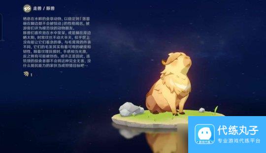 【原神】V5.0攻略 | 纳塔生物志图鉴