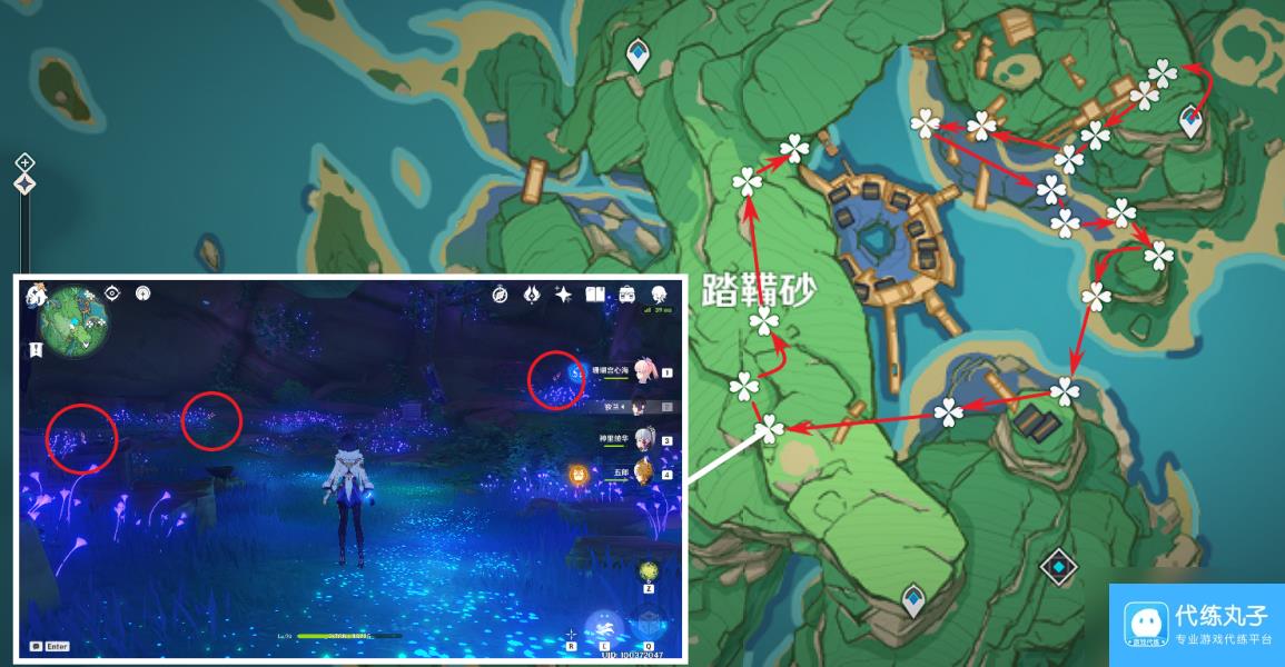 《原神》鸣草收集方法详细介绍
