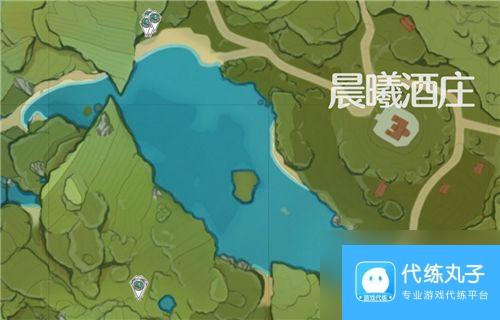 原神小灯草多长时间刷新 小灯草刷新时间规律